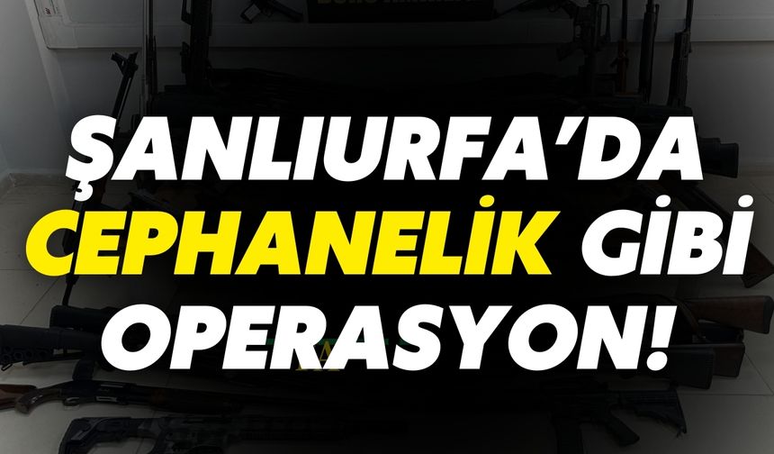 Ceylanpınar’da Cephanelik Gibi Operasyon!