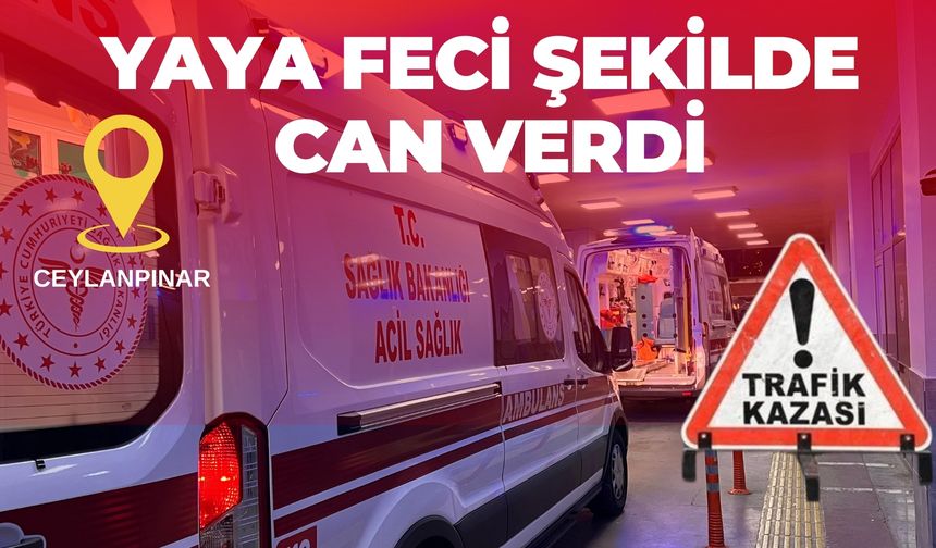 Şanlıurfa’da Trafik Kazası Can Aldı: Bir Kişi Öldü, Sürücü Gözaltında