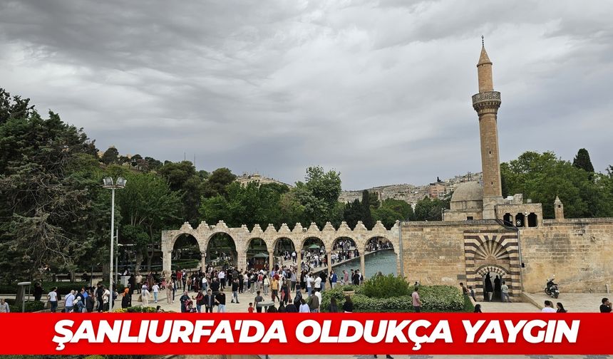Çin'den Sonra Türkiye: Şanlıurfa'da Oldukça Yaygın