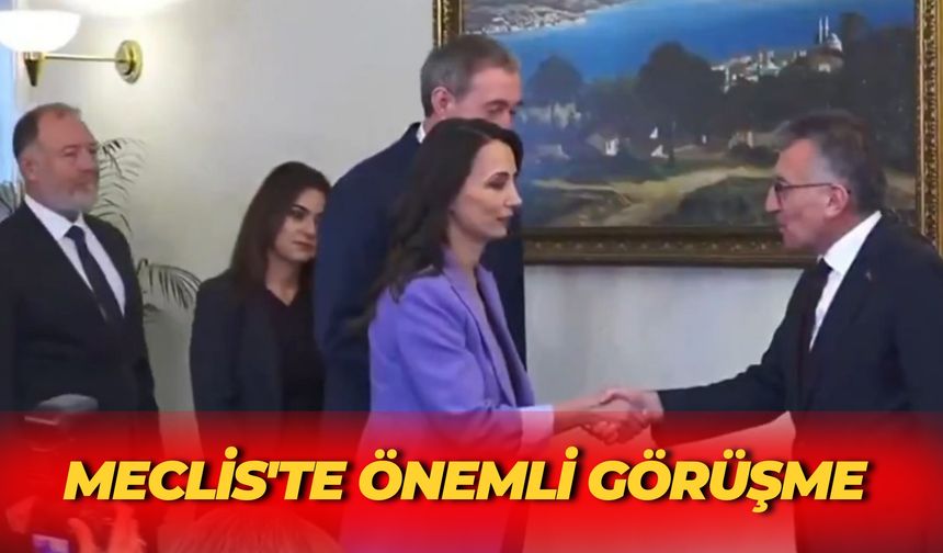 DEM Parti ile AK Parti Meclis'te Görüştü