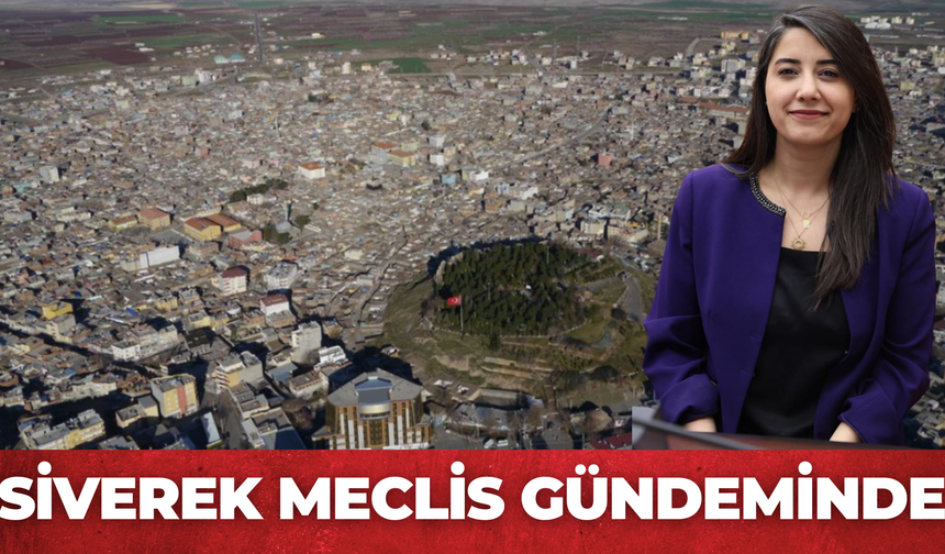 Şanlıurfa’nın Siverek İlçesi Meclis Gündeminde: İşte Bakın Hangi Konu Ön Plana Çıktı