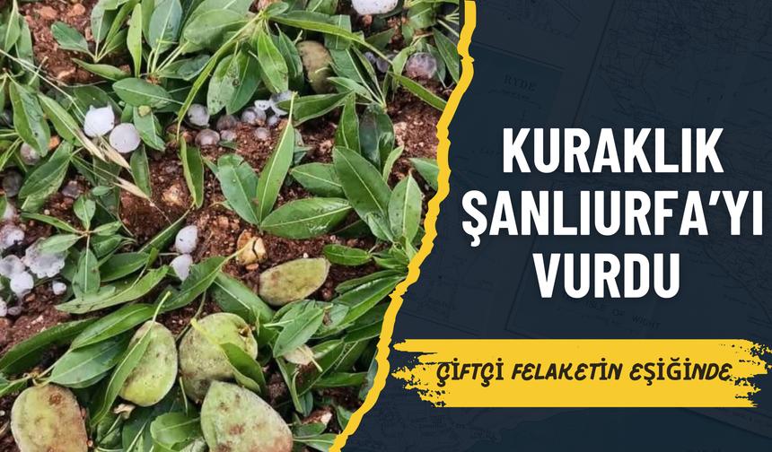 Kuraklık Şanlıurfa’yı Vurdu: Çiftçi Felaketin Eşiğinde