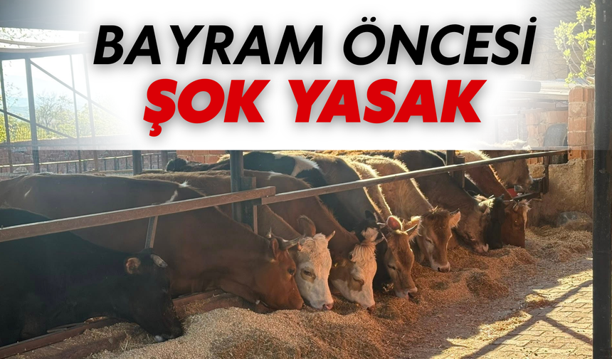 Kurbanlık Krizi mi Geliyor?  Bayram Öncesi Şok Yasak