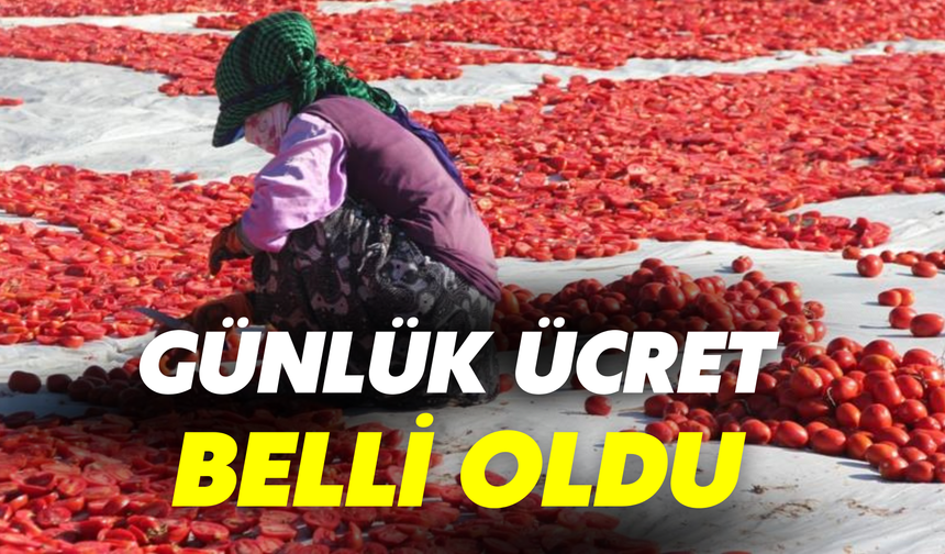 Şanlıurfa’da Tarım İşçisinin Günlük Yevmiyeleri Belli Oldu