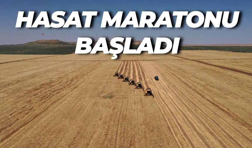 Şanlıurfa’da 1.200 İşçi ve 233 Biçerdöverle Bereketli Sezon Açıldı
