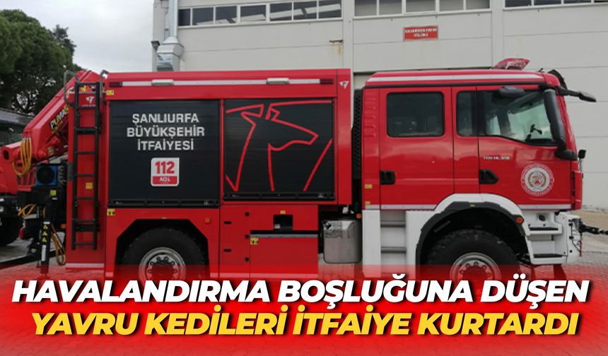 Havalandırma Boşluğuna Düşen Yavru Kedileri İtfaiye Kurtardı