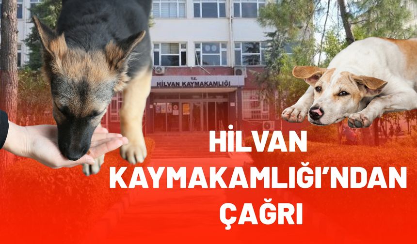 Sahipsiz Hayvanlar İçin Hilvan Kaymakamlığı’ndan Yardım Çağrısı
