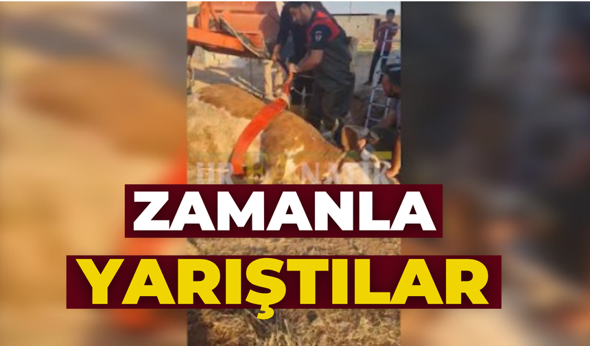 Şanlıurfa’da Zamana Karşı Yarış: İtfaiye Ekipleri Bakın Nasıl Kurtardı?