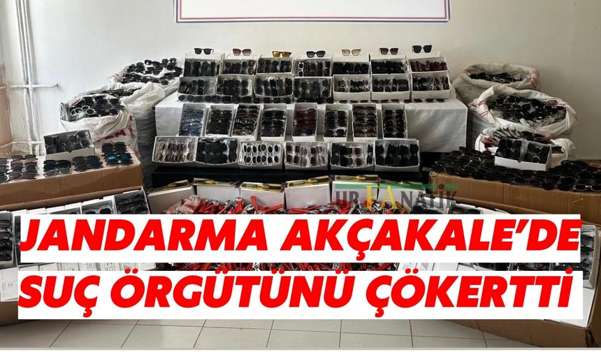 Jandarma Akçakale’de Suç Örgütünü Çökertti