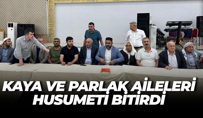 Şanlıurfa’da Kan Davasına Son: Kaya ve Parlak Aileleri Barıştı