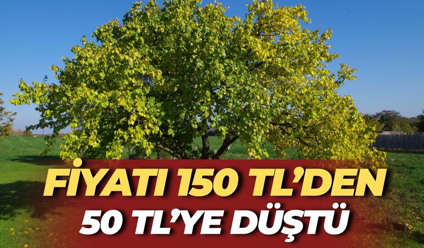 Şanlıurfa’da Fiyatı 150 TL’den 50 TL’ye Düştü