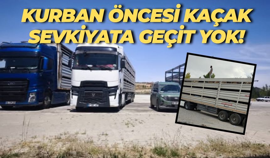 Şanlıurfa-Gaziantep Otoyolunda Kaçak Kurbanlık Operasyonu
