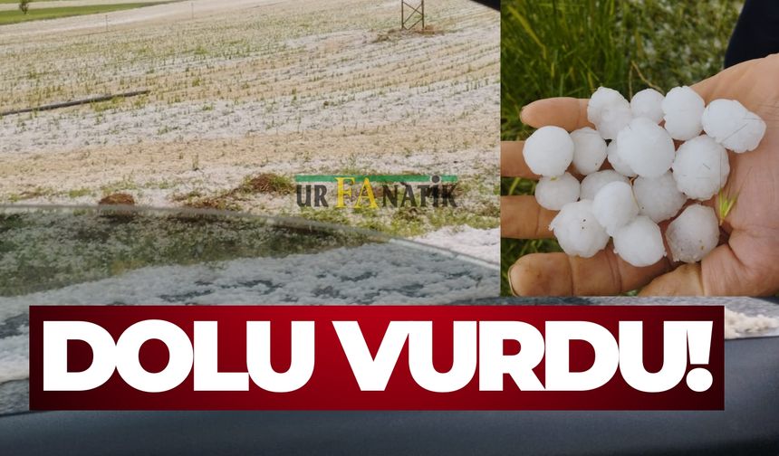 Şanlıurfa’nın Komşu İlini Dolu Vurdu!