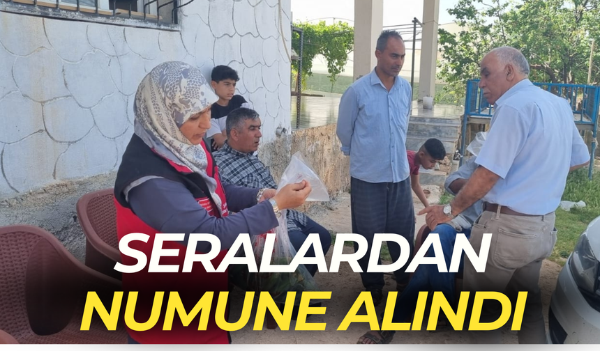 Şanlıurfa'da Seralardan Numune Alındı: Üreticilere Kalıntı Uyarısı
