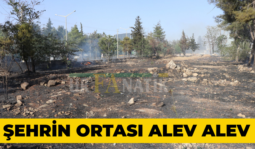 Şanlıurfa’nın Ortasında Alev Alev Yandı