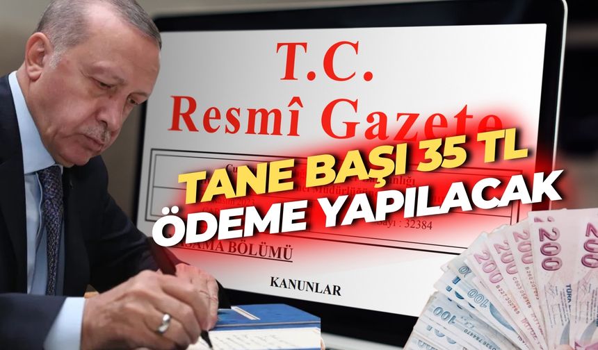 Resmi Gazetede Yayımlandı: Tane Başı 35 TL Ödeme Yapılacak