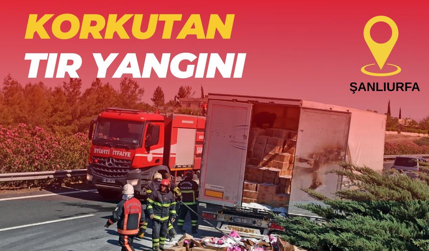 Şanlıurfa-Mardin Yolunda Toz Deterjan Yüklü Tır Alev Alev Yandı