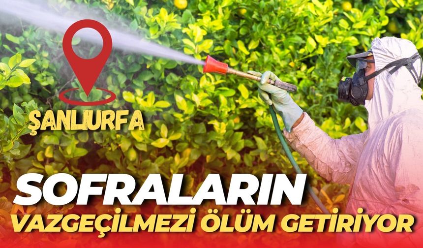 Şanlıurfa Sofralarının Vazgeçilmezinde Kanser ve Lösemi Tehlikesi