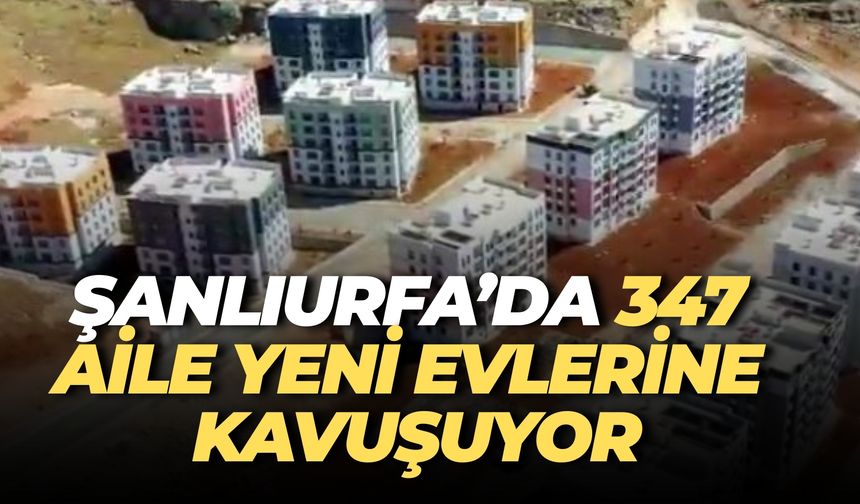 TOKİ, Şanlıurfa Eyyübiye'de 347 Sosyal Konutu Teslim Etmeye Başladı