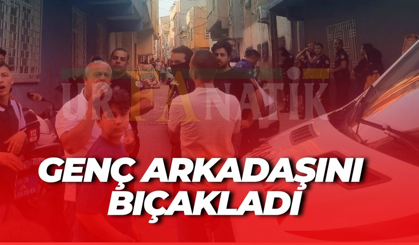 Şanlıurfa’da Barışma Buluşması Kanlı Bitti: Genç Arkadaşını Bıçakladı