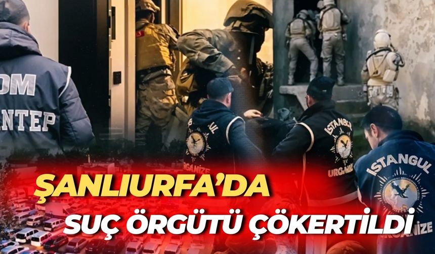 Şanlıurfa’da Suç Örgütü Çökertildi: Çok Sayıda Tutuklama!