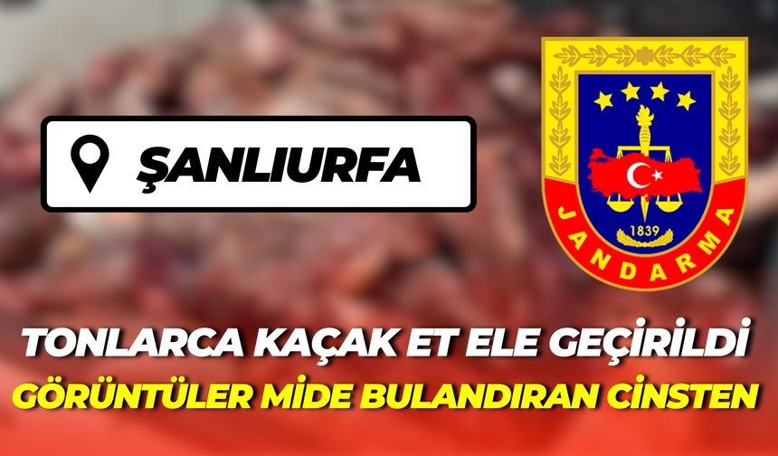 Şanlıurfa’da Jandarmadan Şok Baskın: Tonlarca Kaçak Et ve Binlerce Ürün Ele Geçirildi