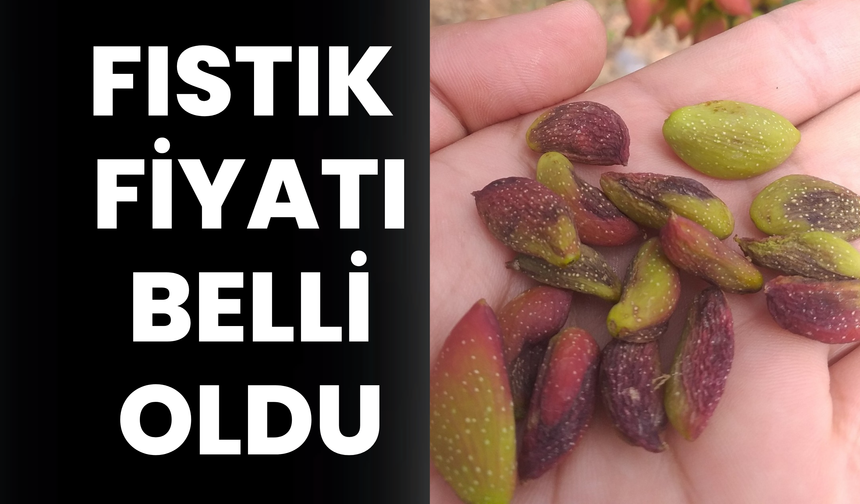 Şanlıurfa’da Yeni Haftada Fıstık Fiyatı Belli Oldu