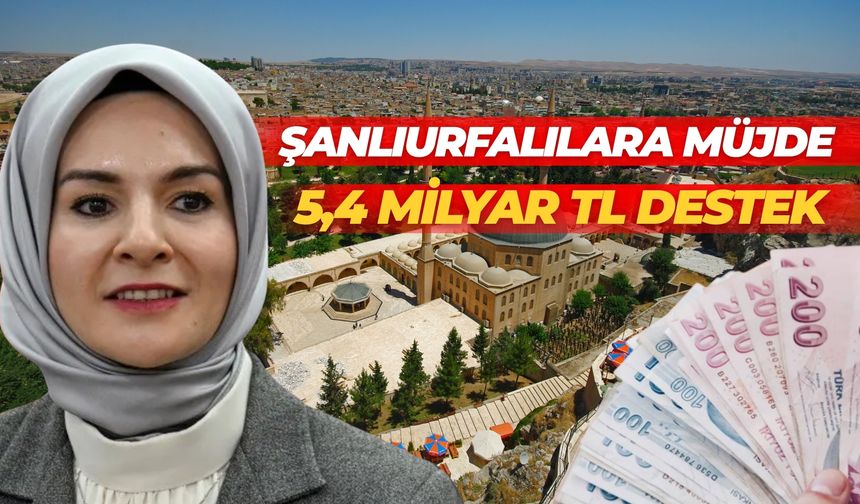 Şanlıurfalılara Müjde: 5,4 Milyar TL Destek Hesaplara Yatırılıyor