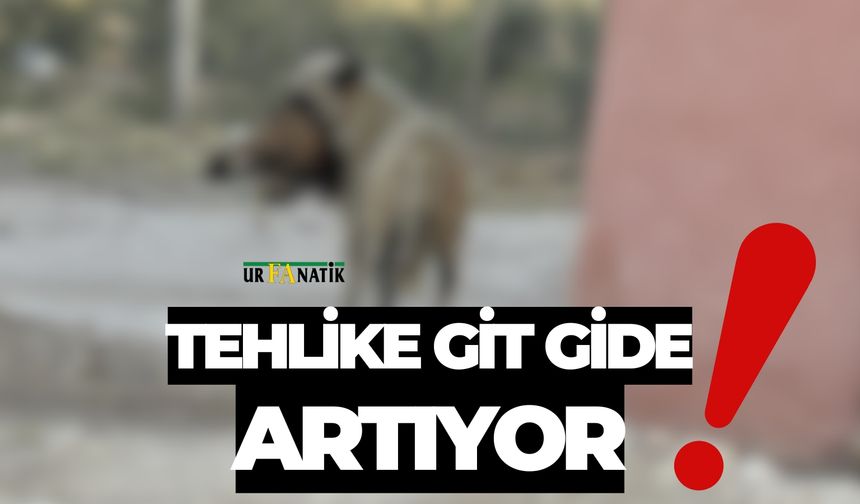 Suruçlu Vatandaşlar Tedirgin! Tehlike Büyüyor