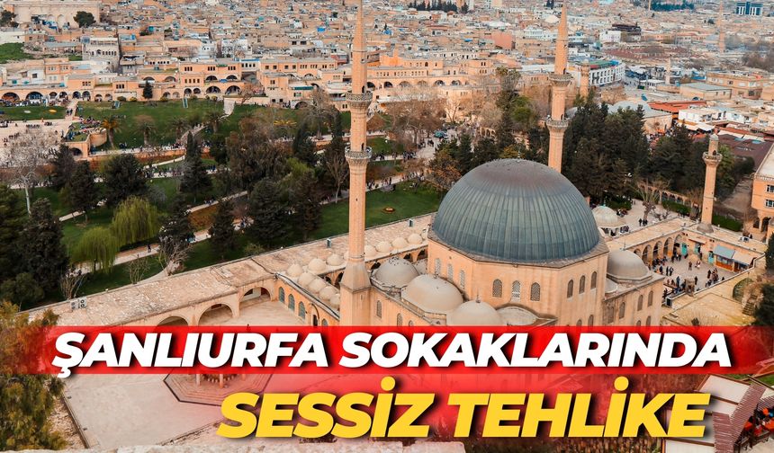 Suruç’ta Açık ve Kırık Elektrik Panoları Tehlike Saçıyor