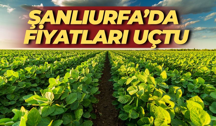 Şanlıurfa’da Fiyatları Uçtu: En Ucuzu 100 TL