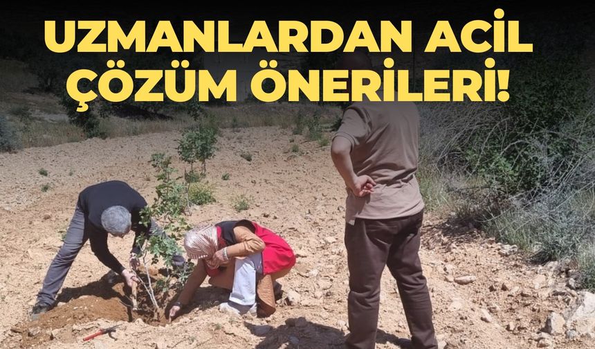 Şanlıurfa’daki Fıstık Üreticileri İçin Kritik Uyarılar!