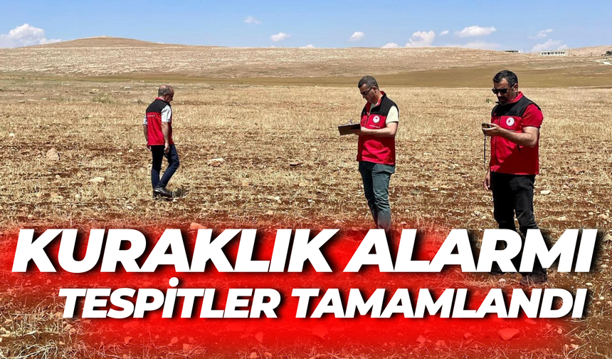 Şanlıurfa’da Kuraklık Alarmı: Tespitler Tamamlandı, Gözler Destekte!