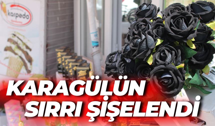 Karagülün Sırrı Şişelendi! Halfeti’nin Siyah Gülü Artık Bir Koku