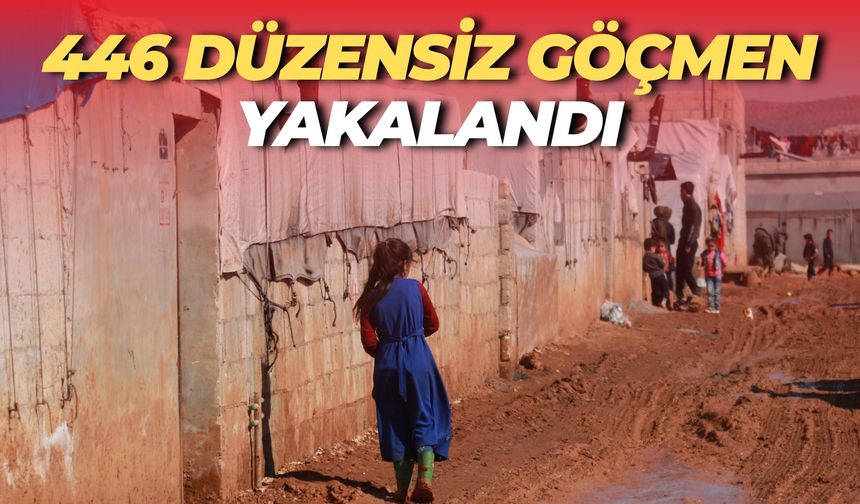 Bakan Yerlikaya Açıkladı: 446 Düzensiz Göçmen Yakalandı