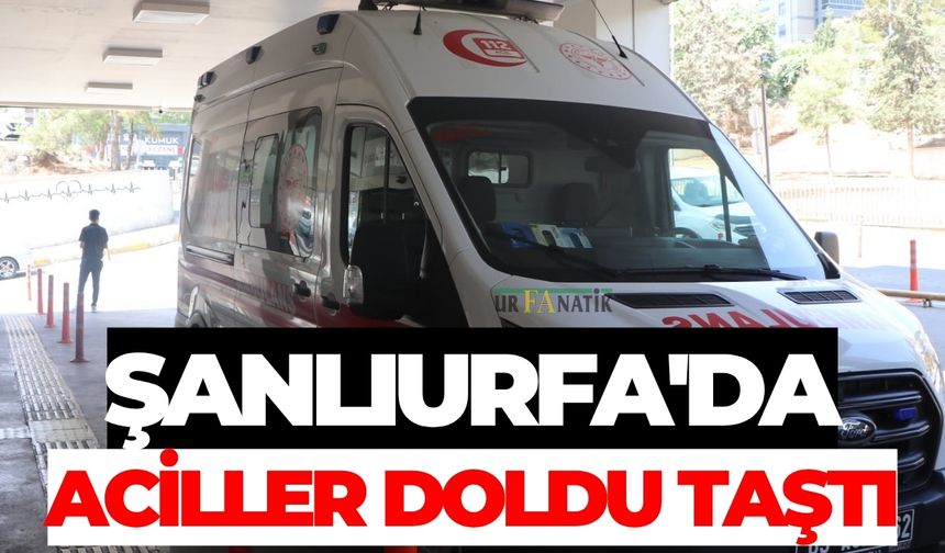 Şanlıurfa'da Aciller Doldu Taştı: Sebep Yine Aynı!