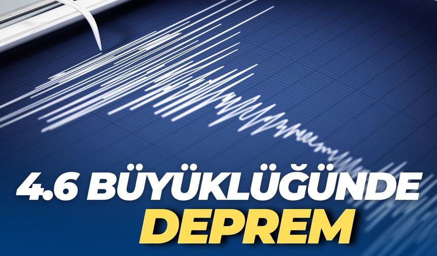 AFAD 4.6 Büyüklüğündeki Depremi Duyurdu