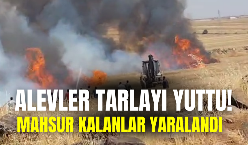 Şanlıurfa'da Alevler Tarlayı Yuttu! Mahsur Kalanlar Yaralandı