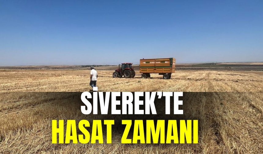 Siverek’te Hasat Zamanı
