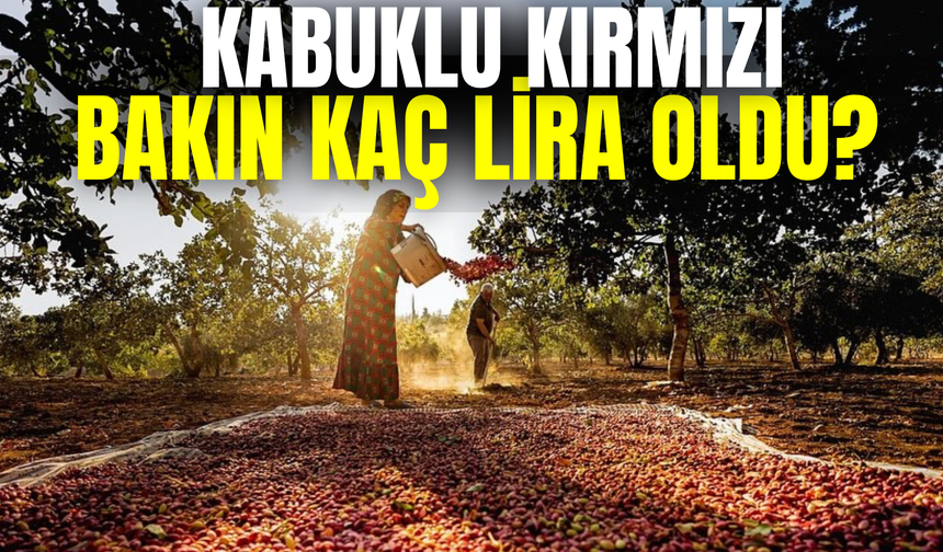Şanlıurfa’da Fıstık Fiyatları Tırmanışta: Kabuklu Kırmızı Bakın Kaç Lira Oldu?