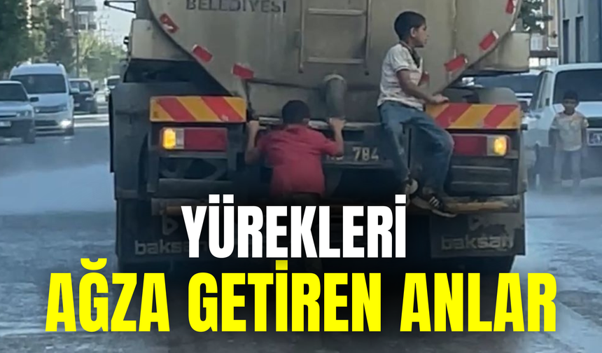 Bu Görüntü Şanlıurfa’da Kaydedildi: Yürekleri Ağza Getiren Anlar