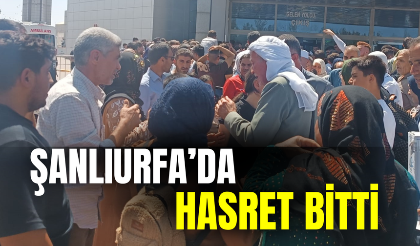 Şanlıurfa’da Hasret Bitti: Yurda Döndüler