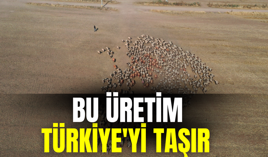 Şanlıurfa'da Dev Adım: Bu Üretim Türkiye'yi Taşır
