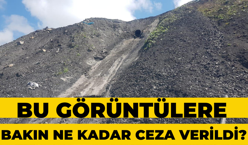 Skandal Görüntülere Büyük Ceza Kesildi: Bakın ne Kadar Ceza Kesildi?
