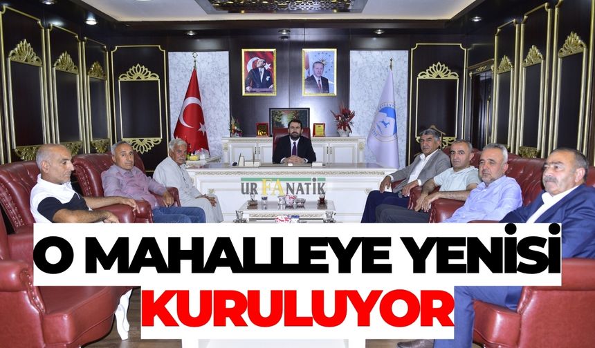Ceylanpınar’da Acil Önlem Alındı: O Mahalleye Yenisi Kuruluyor