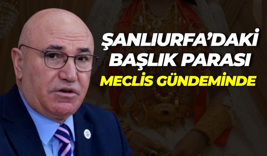 CHP’li Tanal’dan Başlık Parası Tepkisi: “Gençlerin Kaderi Bu Düzen Olmamalı”