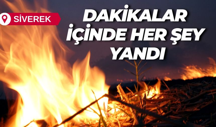 Şanlıurfa’da Anız Yangını Yürekleri Ağza Getirdi
