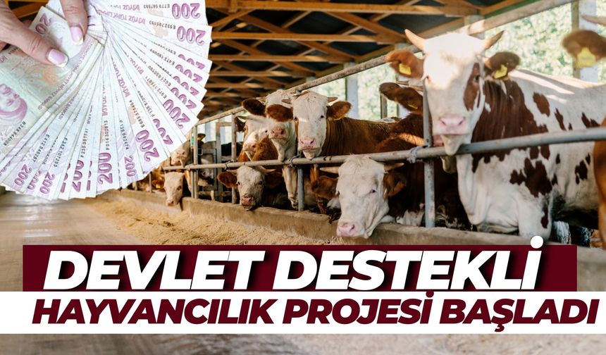 Devlet Destekli Hayvancılık Projesi Başladı: Kimler Başvurabilir, Başvurular Nereden Yapılacak?