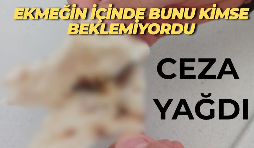 Şanlıurfa Suruç’ta Fırından Aldığı Ekmeği Açtı, Gördüğüne İnanamadı!