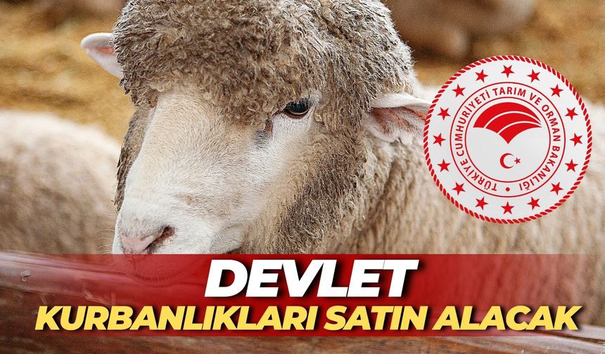 Elinde Kalanlar Acele Etsin! Devlet Kurbanlıkları Satın Alacak